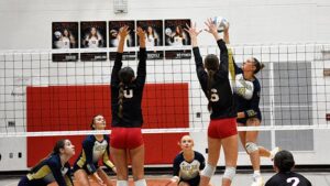 Niles volleyball dampens Paw Pawâ€™s Senior Night celebration with sweep