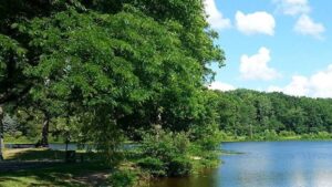 Dowagiac seeks public feedback on park, open space plan