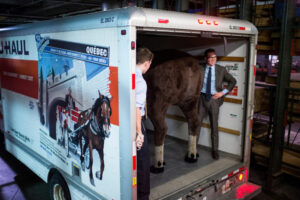 Capitol Lens | You’re gonna carry that weight