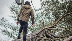 Power restored for 95 percent of storm-impacted customers